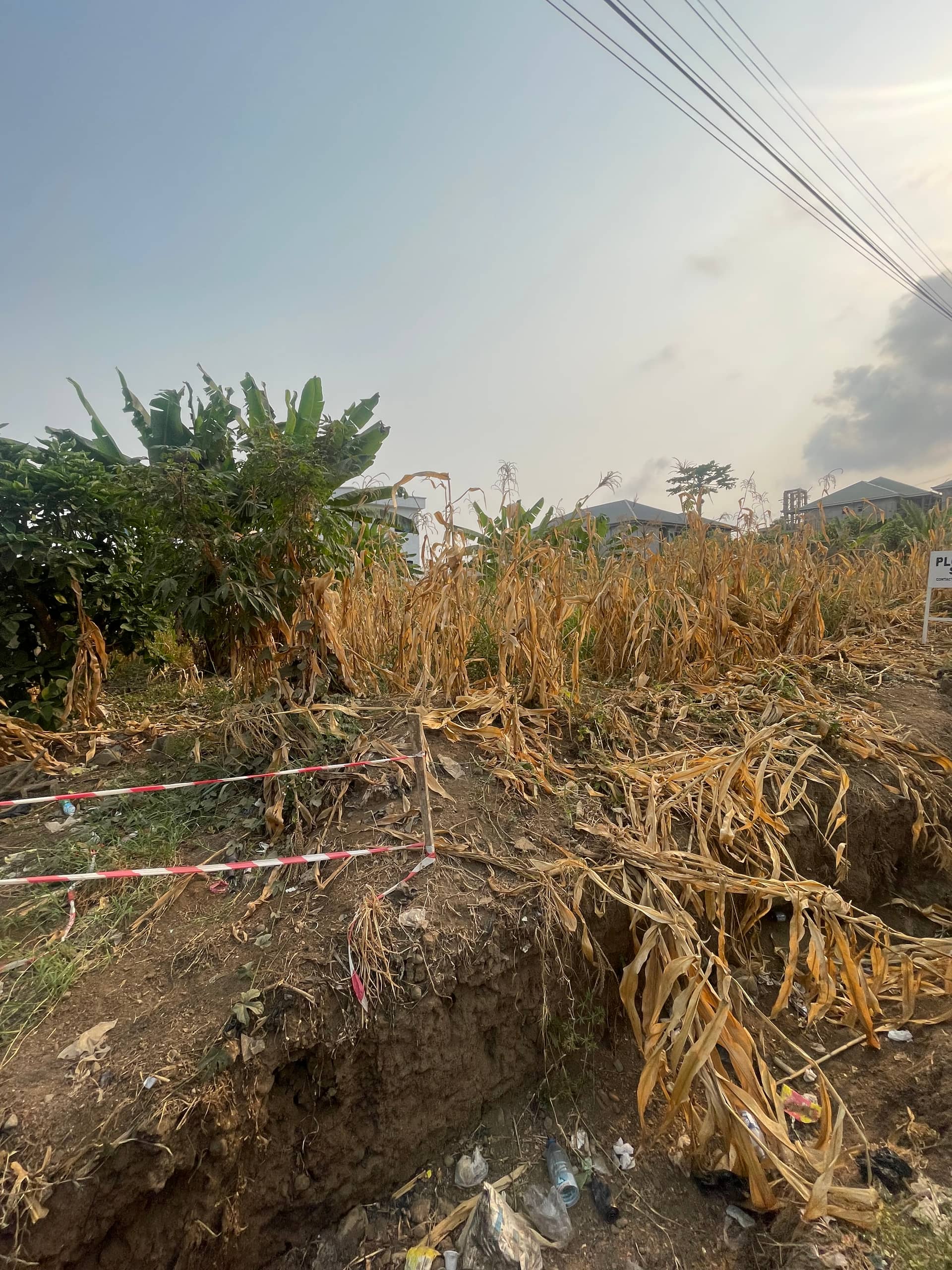 Land for Sale at St Luke Junction Buea 