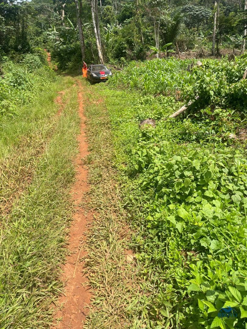 Premium Land for sale in Yaoundé  — photo 7