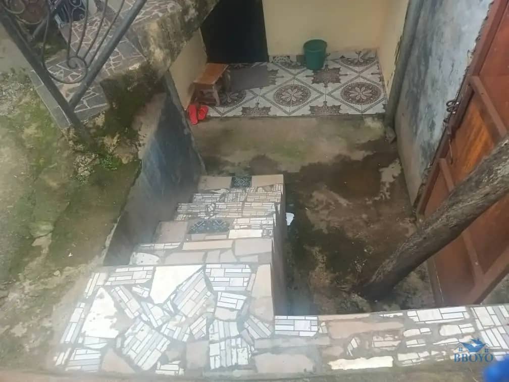 Modern Available lycee Emana  — photo 2