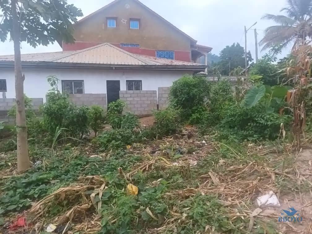 200m2 plot Area standing 