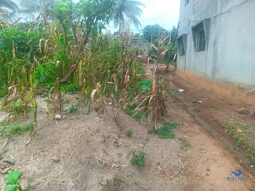200m2 plot Area standing  — photo 4