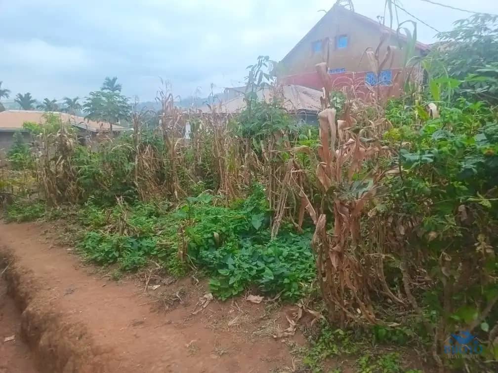 200m2 plot Area standing  — photo 7