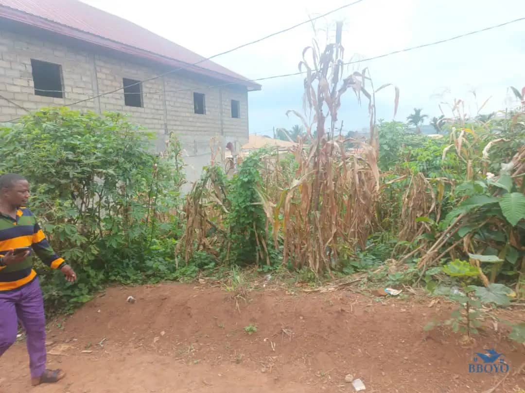 200m2 plot Area standing  — photo 6
