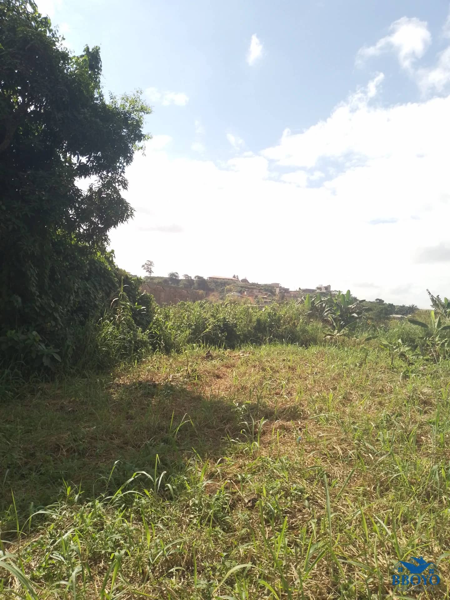 Terrain titré à vendre à Nkozoa — photo 2
