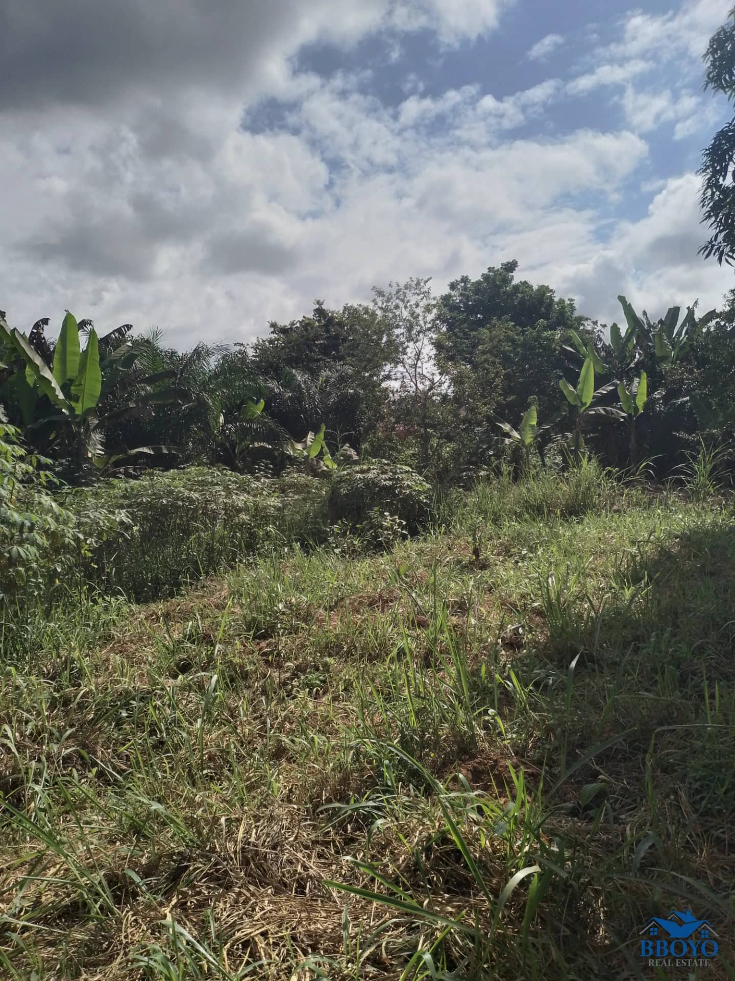 Terrain titré à vendre à Nkozoa