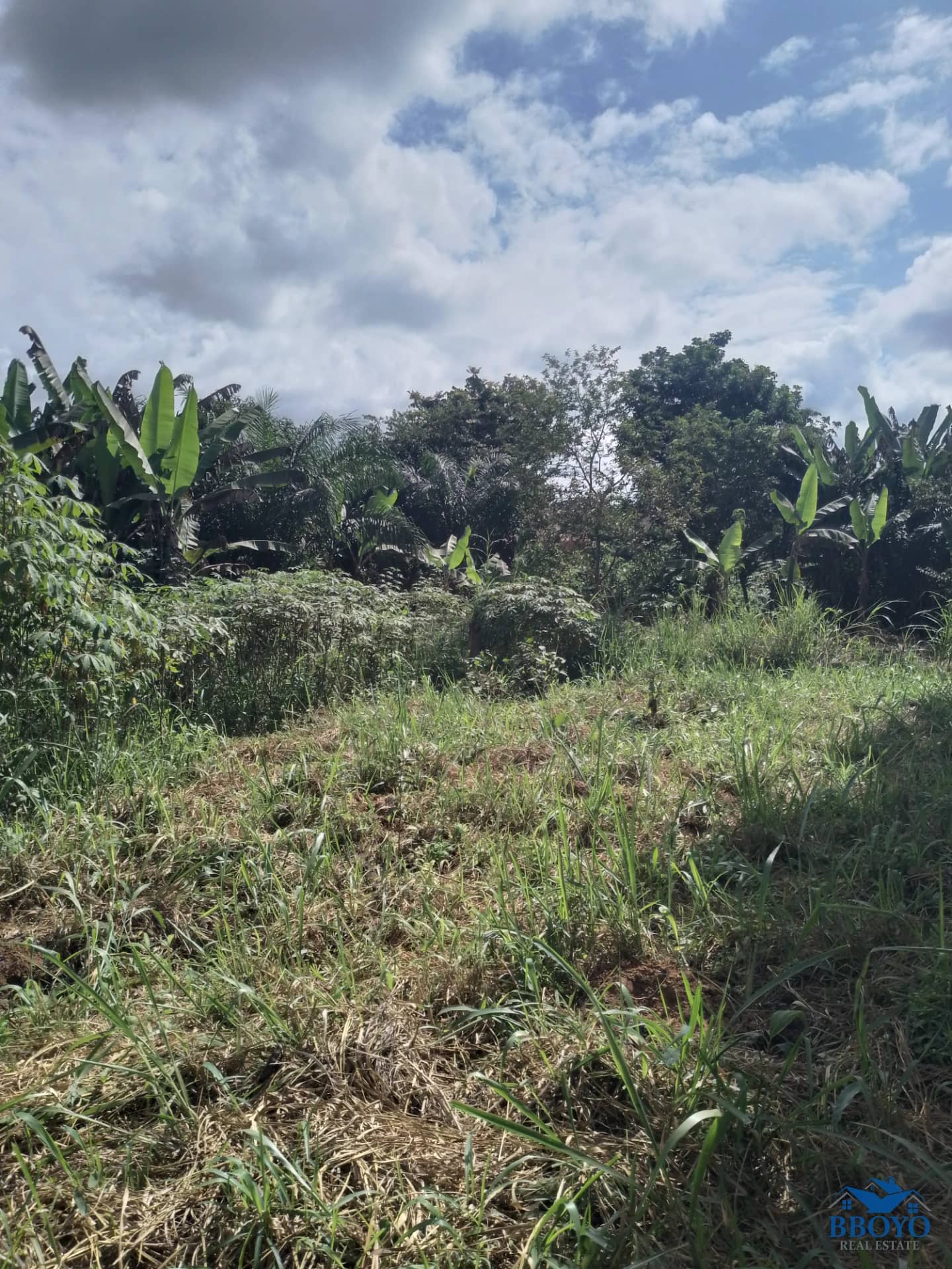Terrain titré à vendre à Nkozoa — photo 7