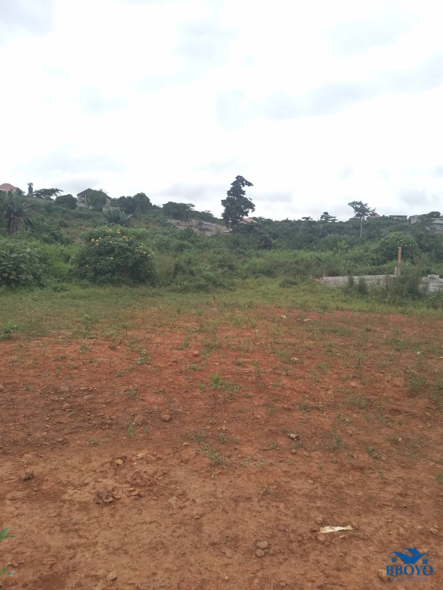 Terrain titré à vendre à Nkozoa — photo 5