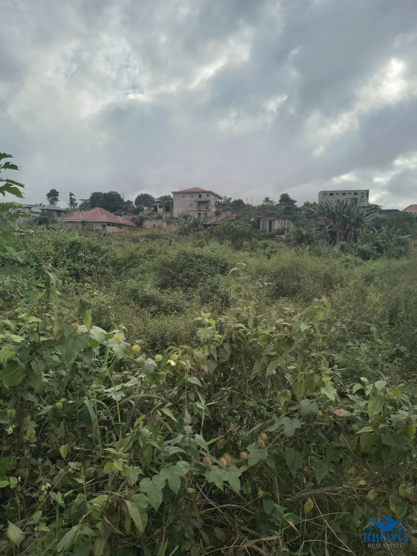 Terrain titré à vendre à Nkozoa — photo 4