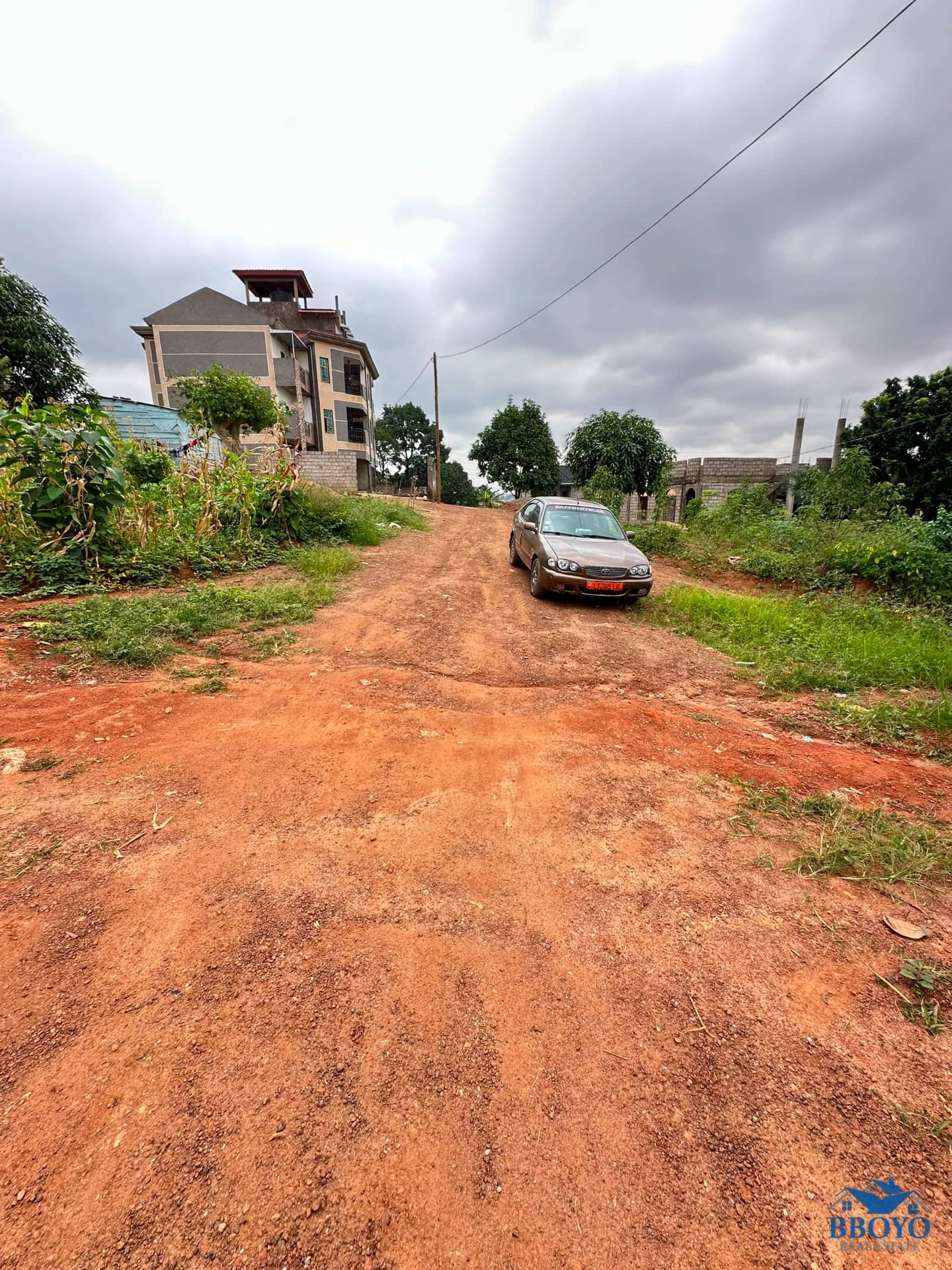 Terrain titré à vendre à Éleveur — photo 4