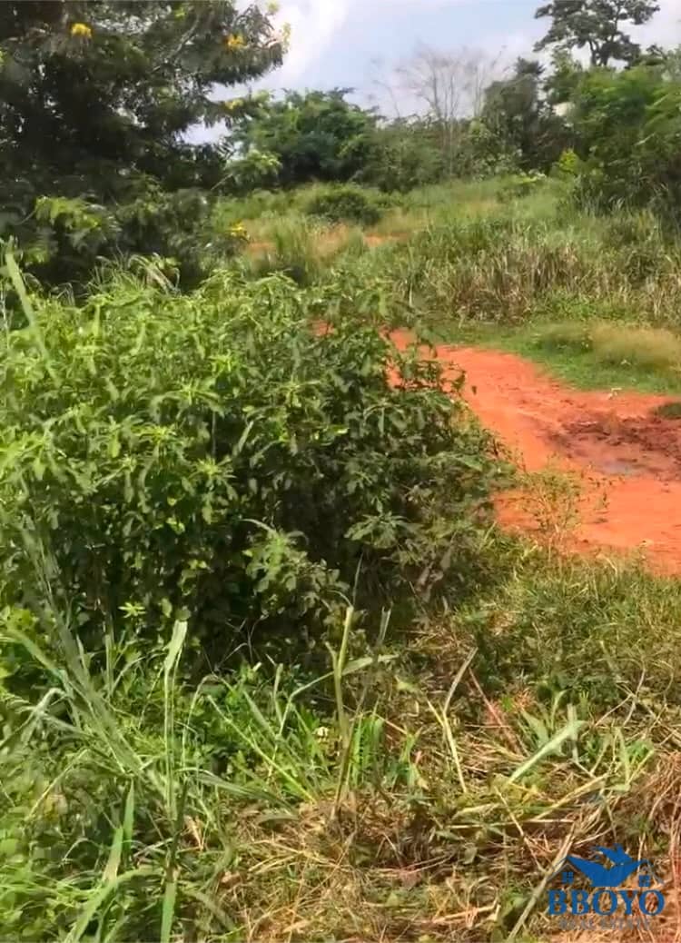 Prime Residential Land for Sale — photo 4