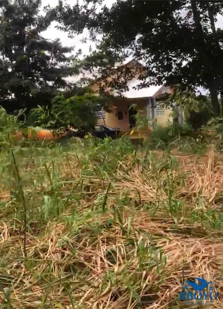 Prime Residential Land for Sale — photo 7