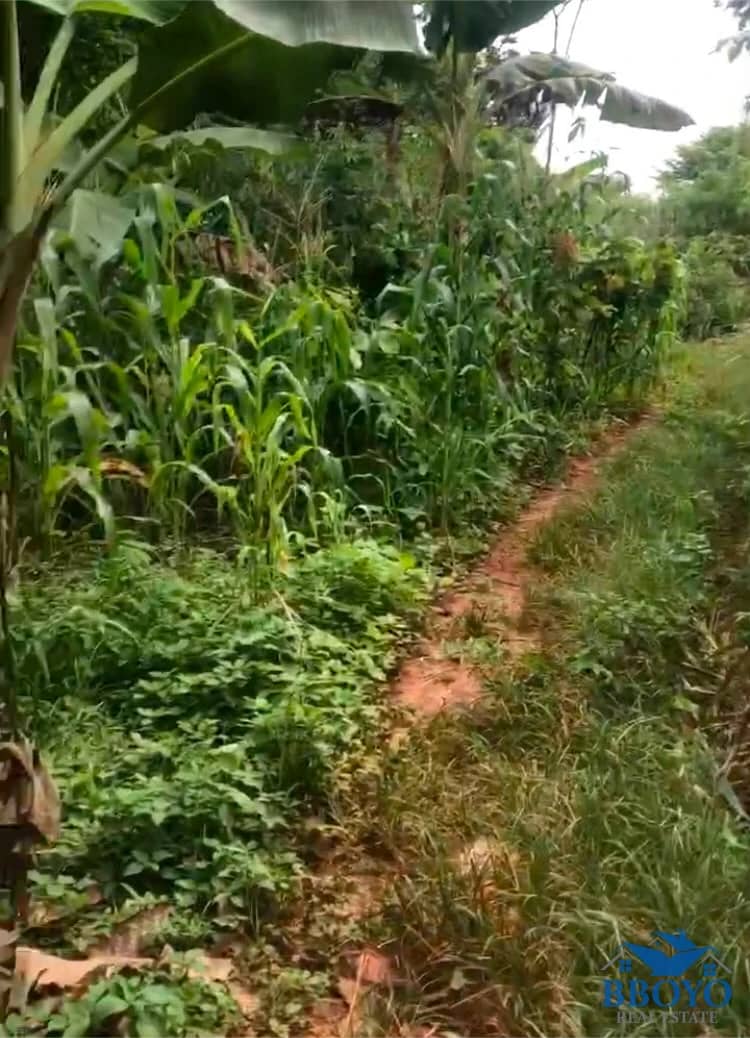Prime Residential Land for Sale — photo 2