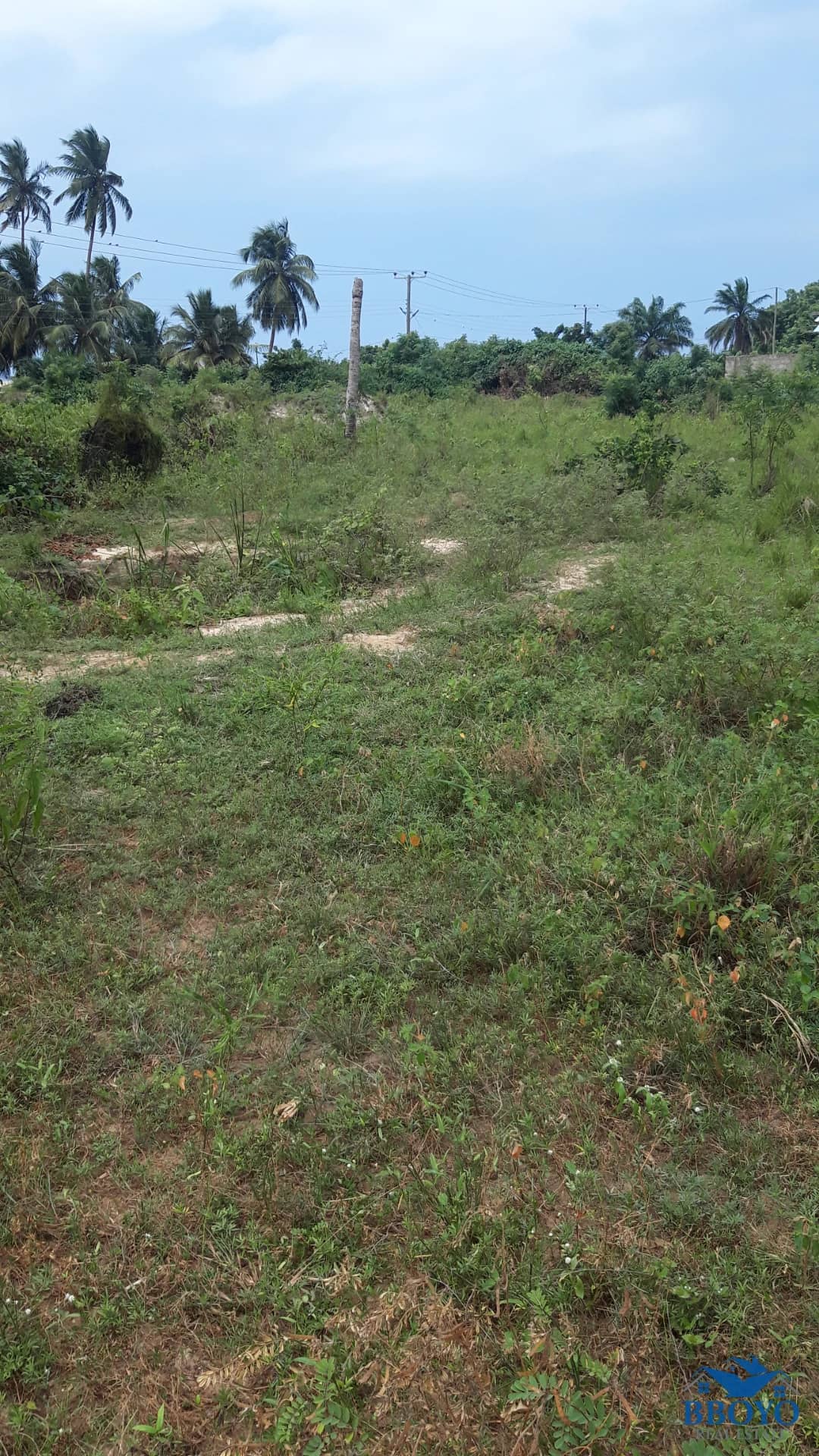 Land — photo 2