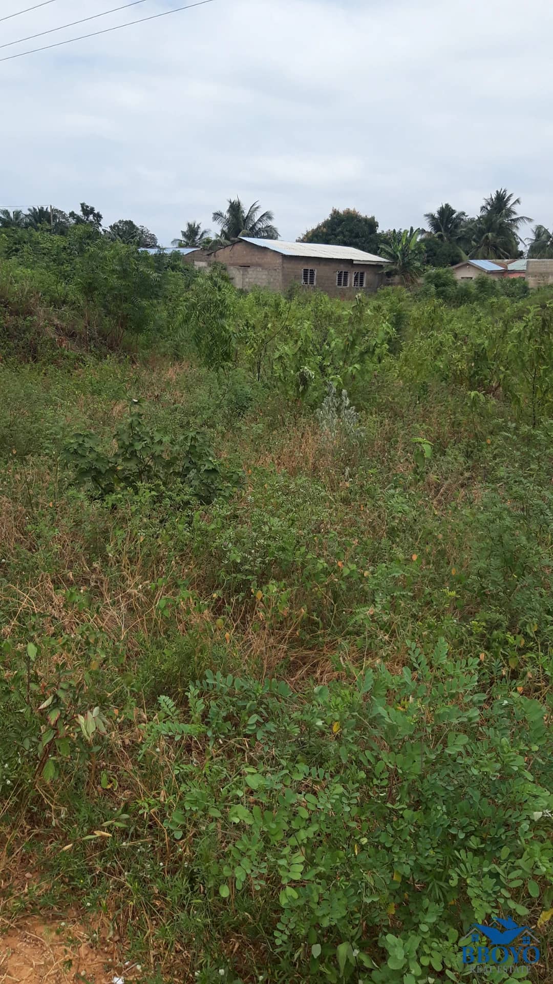Land — photo 7