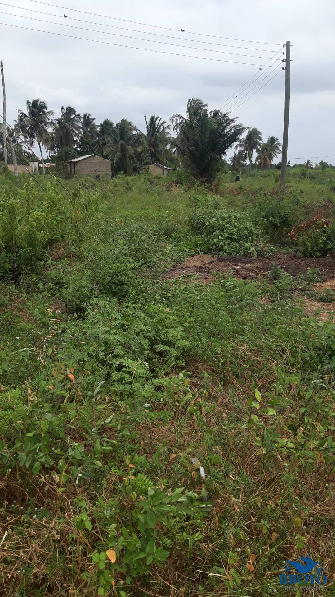 Land — photo 6