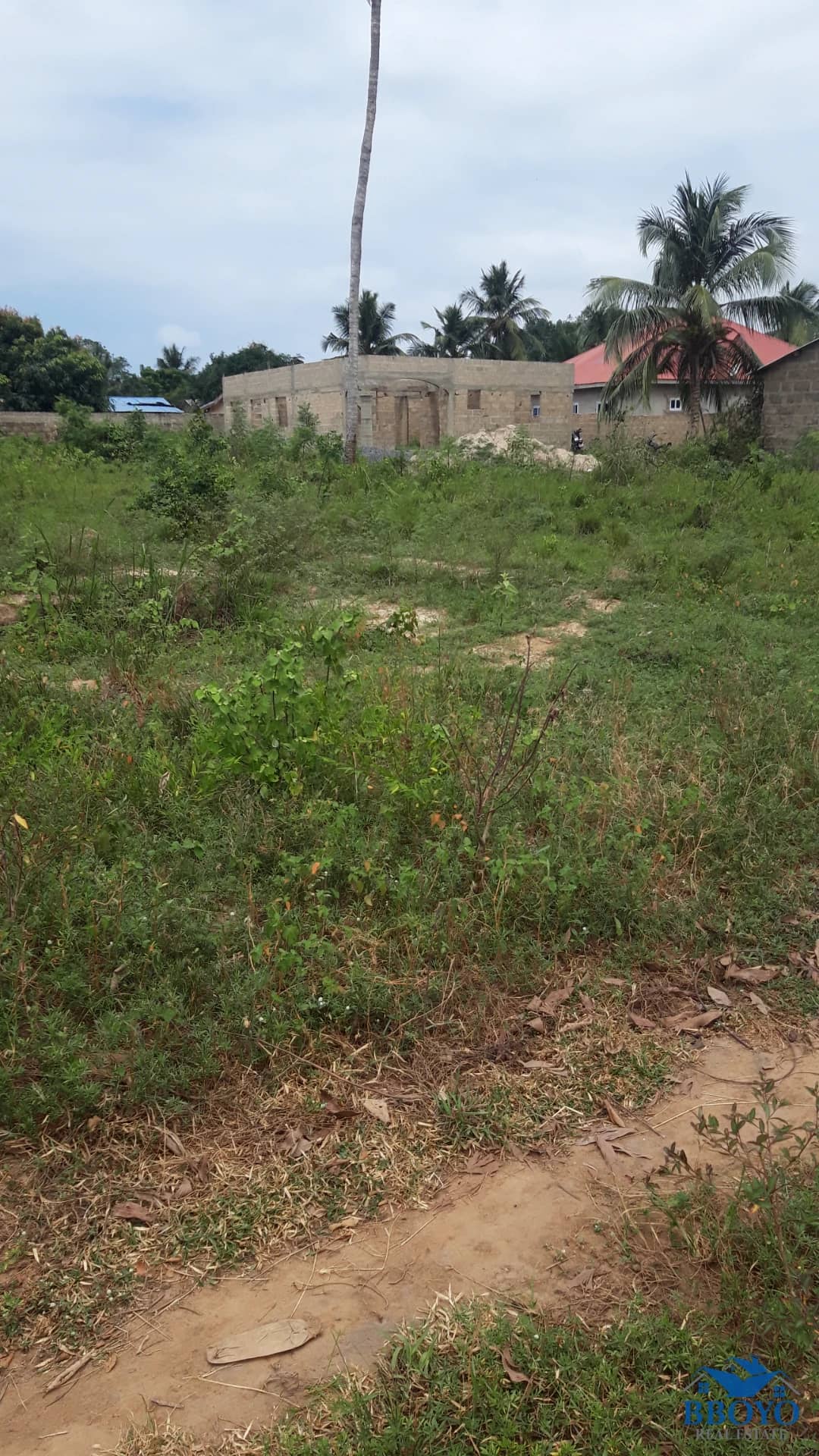 Land — photo 5