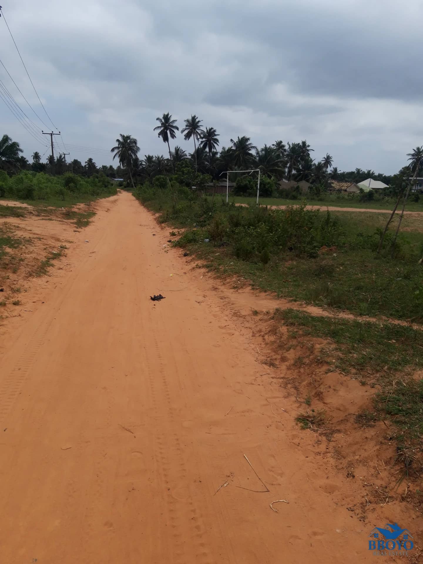 Land — photo 3