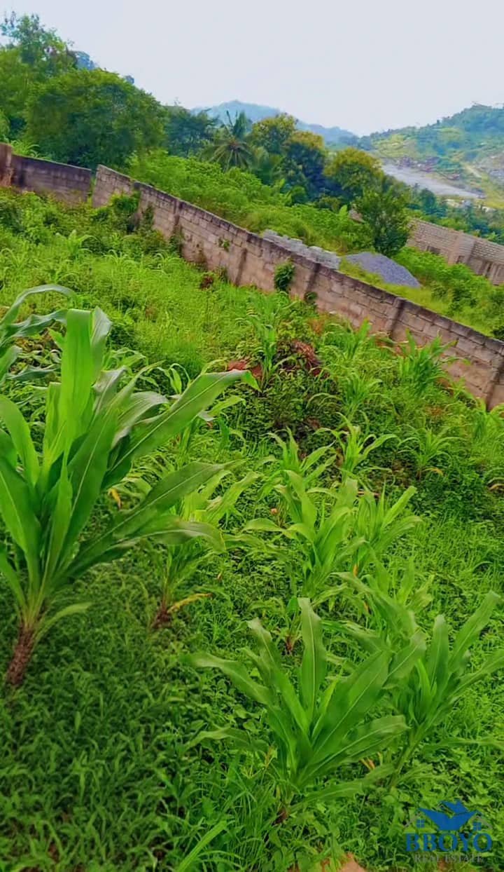 9 plots of Land for sale — photo 3