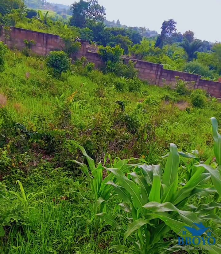 9 plots of Land for sale