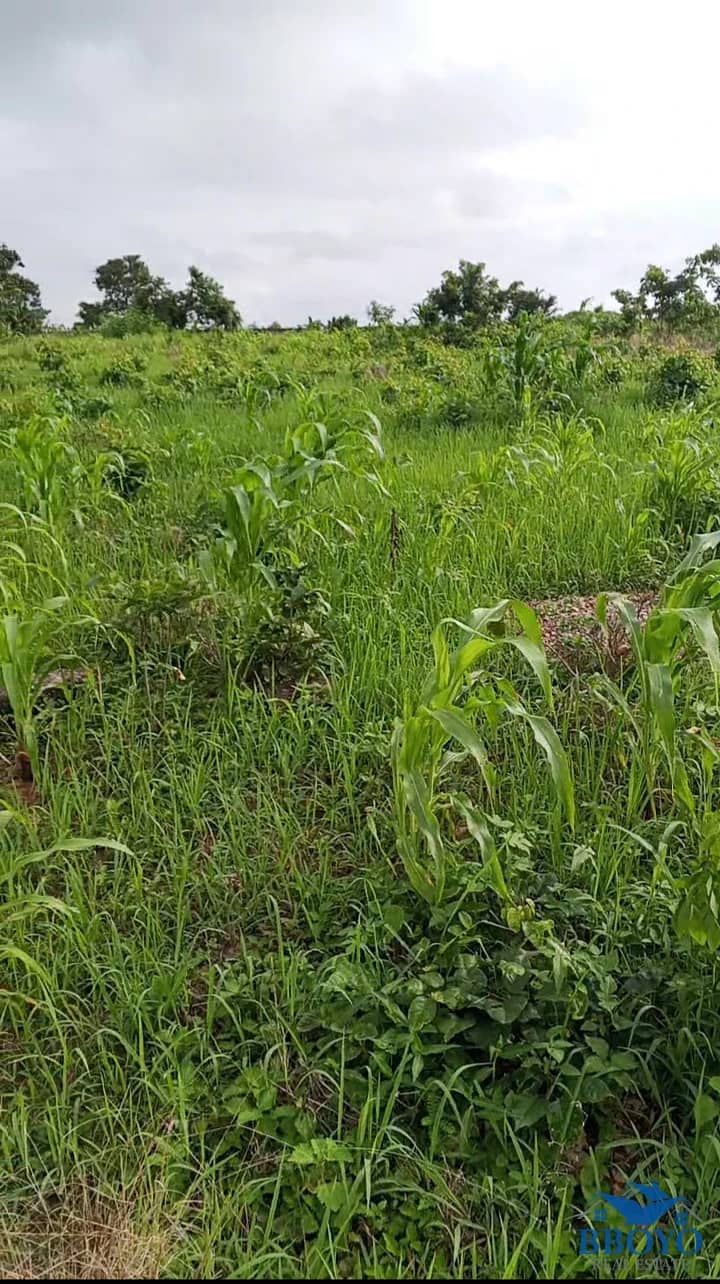 9 plots of Land for sale — photo 7