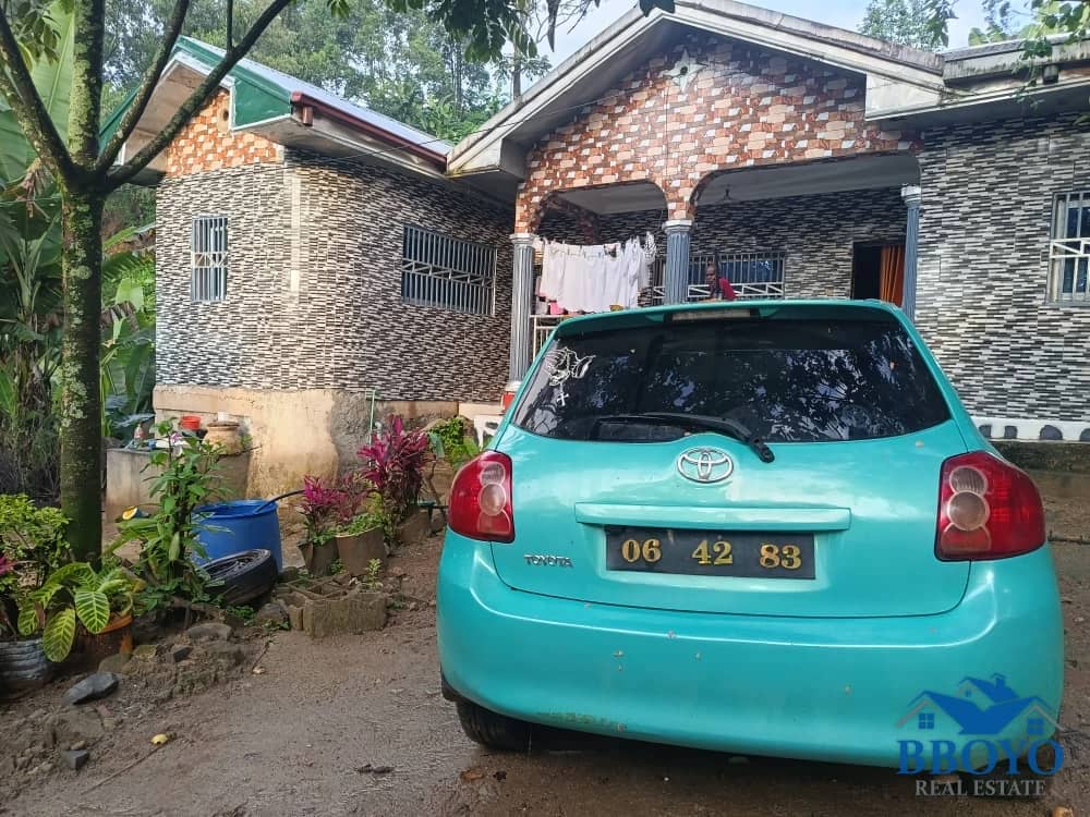 Mr Ogidi's House — photo principale