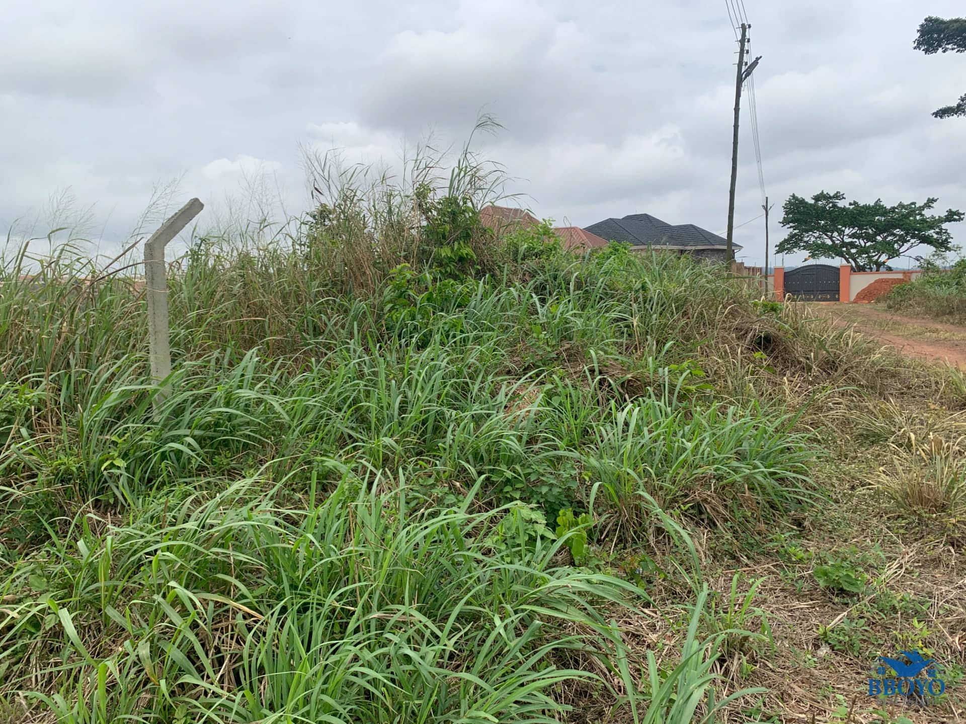 1 Plot of land for sale
