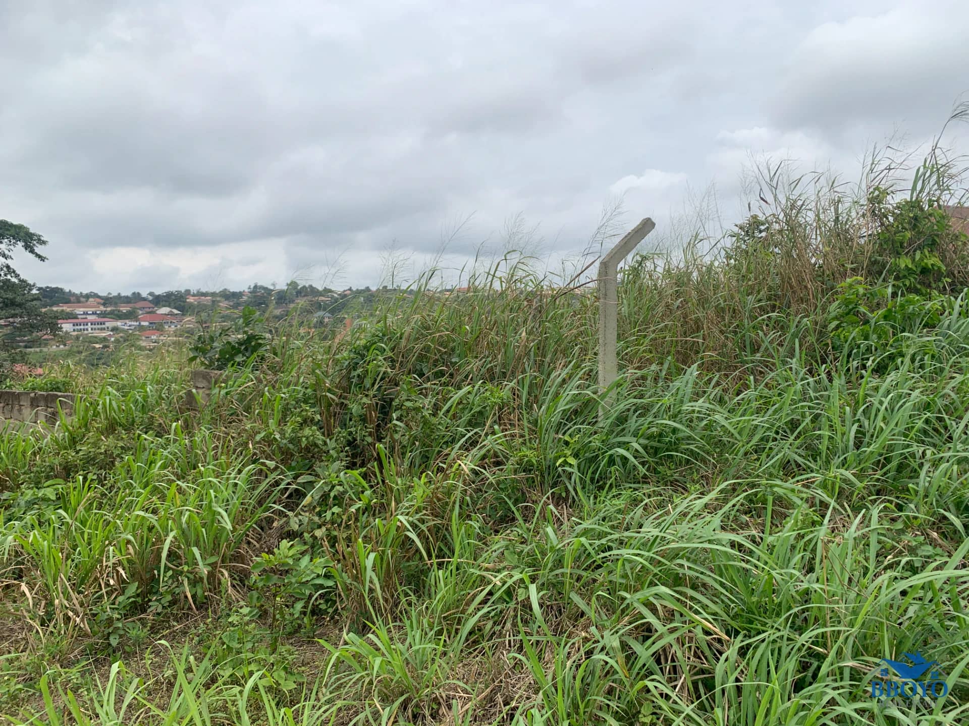1 Plot of land for sale — photo 2