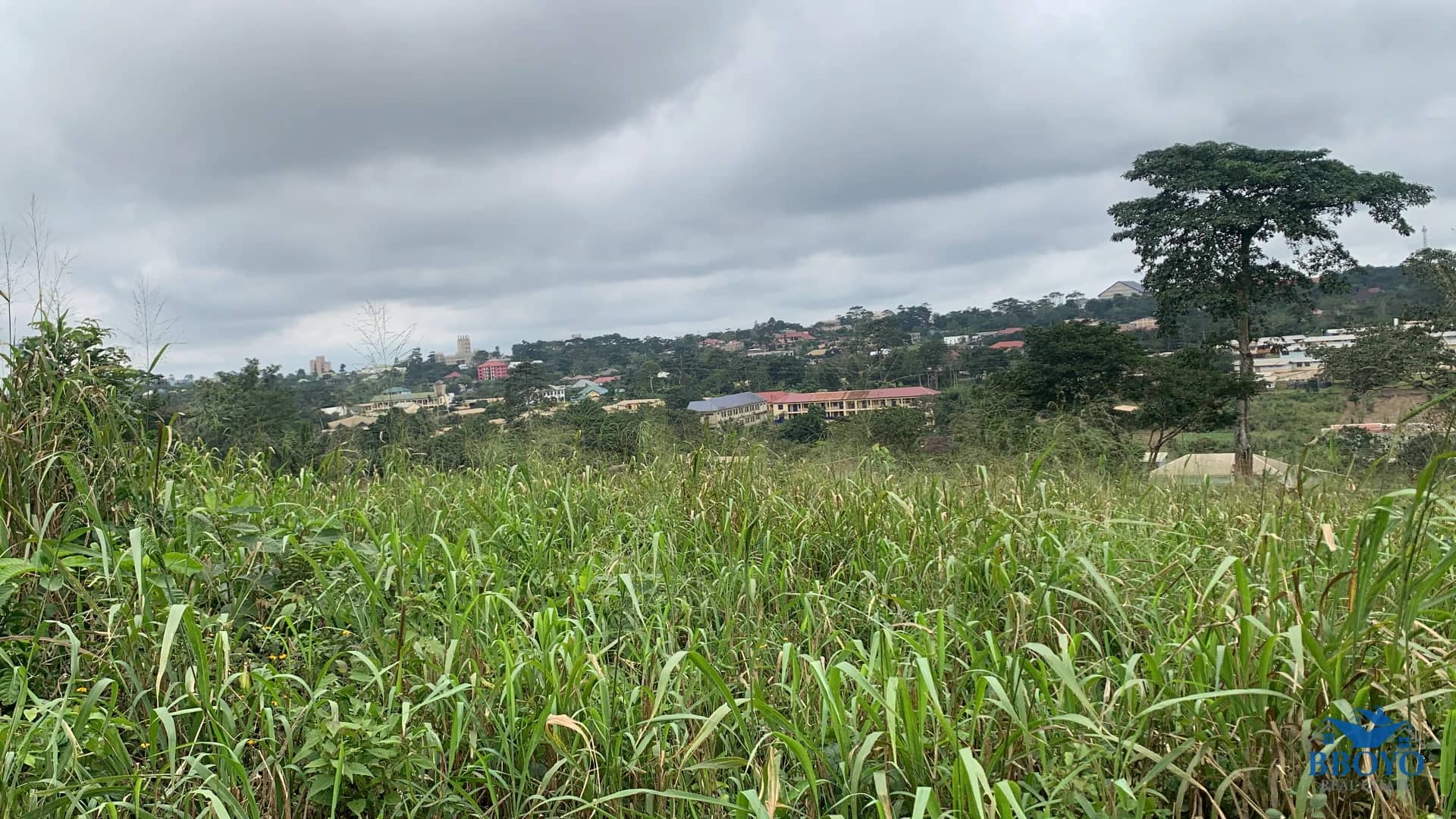 1 Plot of land for sale — photo 3