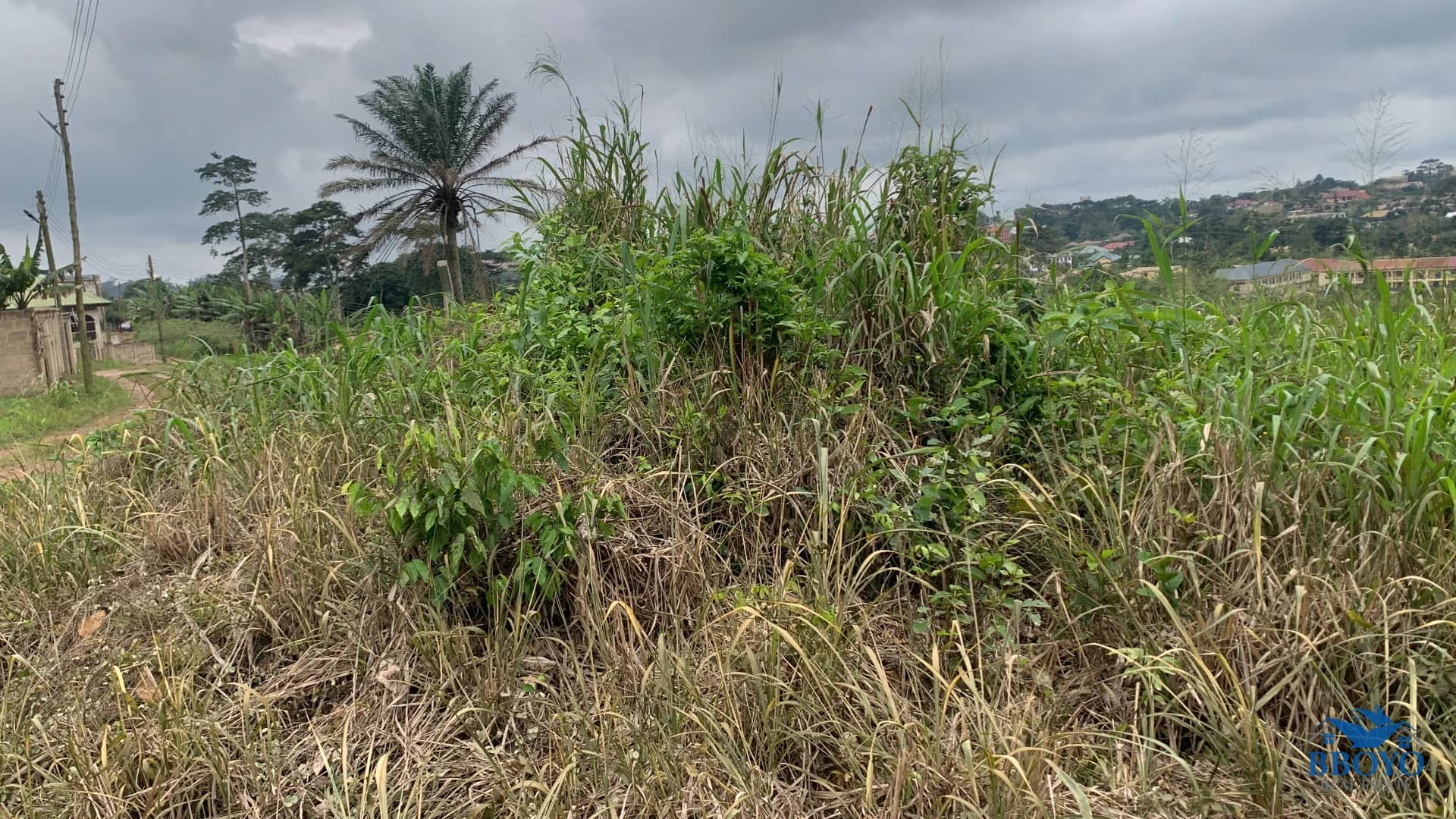 1 Plot of land for sale — photo 6