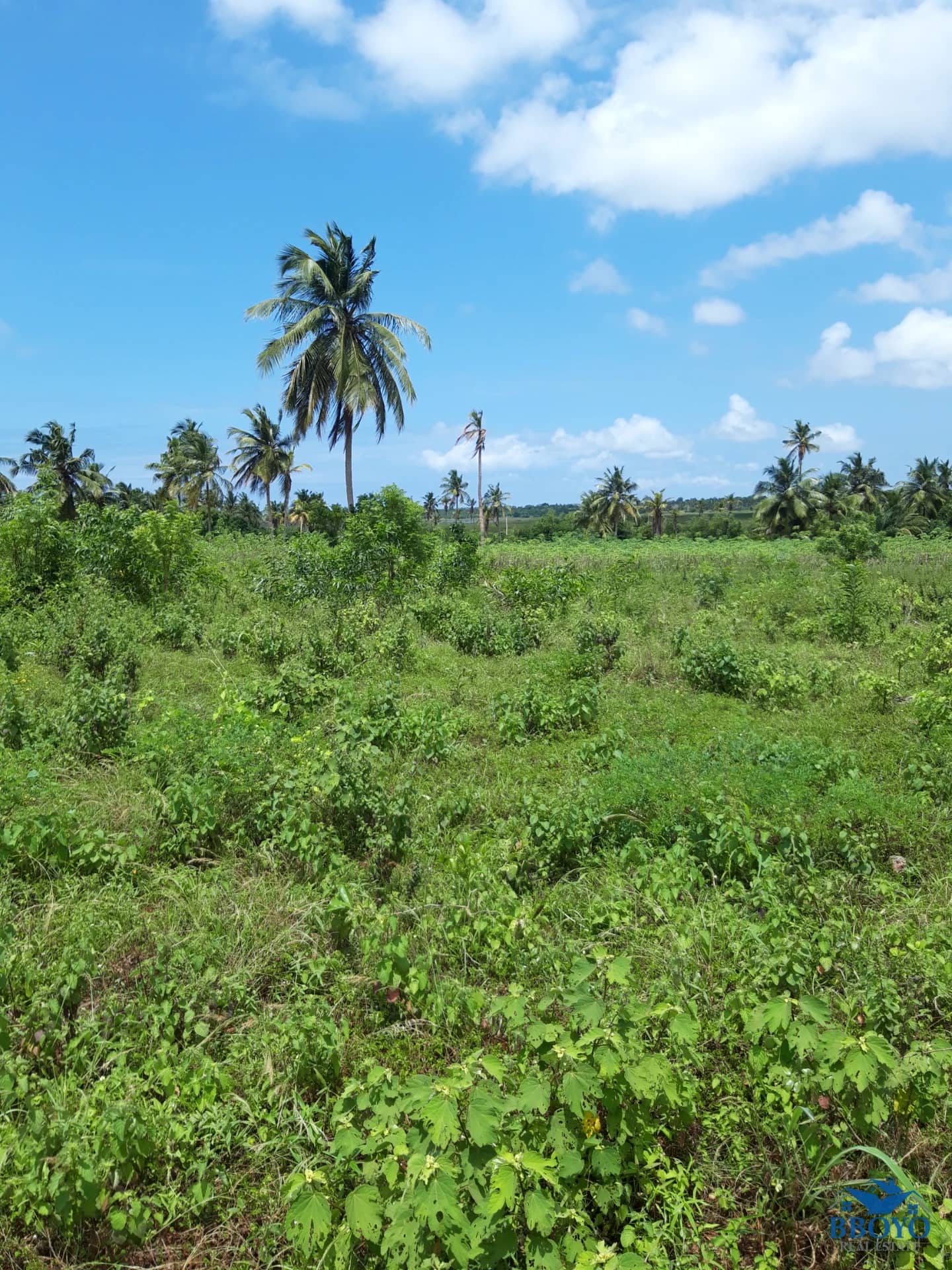 LAND — main photo
