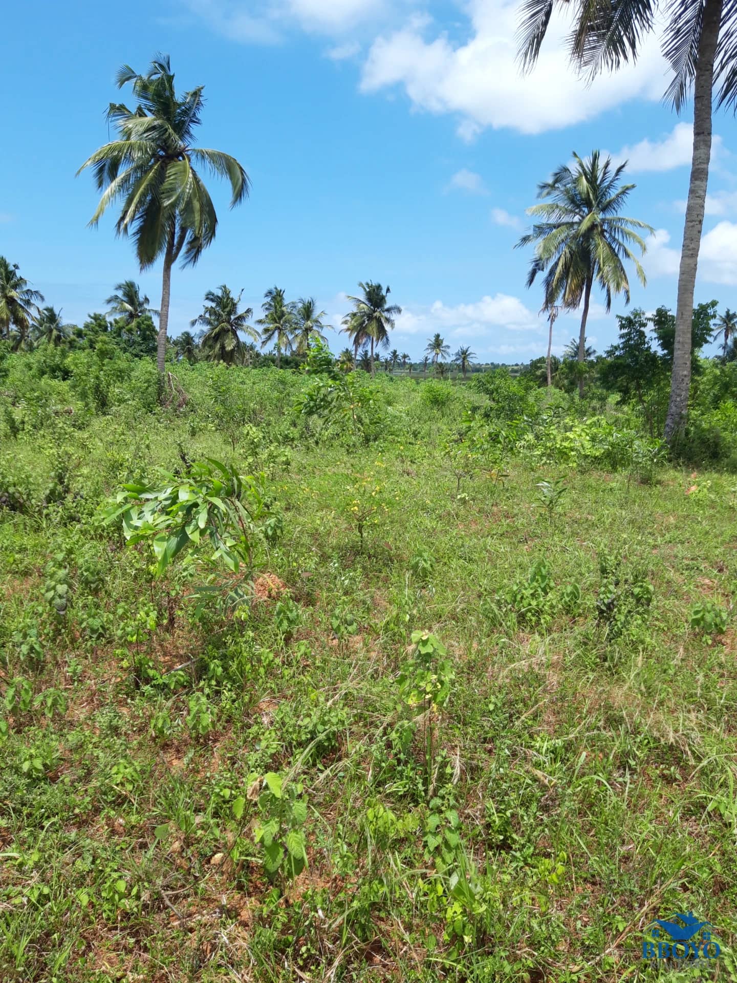 LAND — photo 2