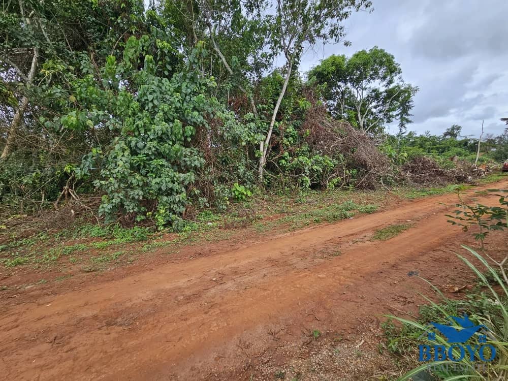 Accessible plot area at Nkomtou Yaounde 1000m2 — photo 3