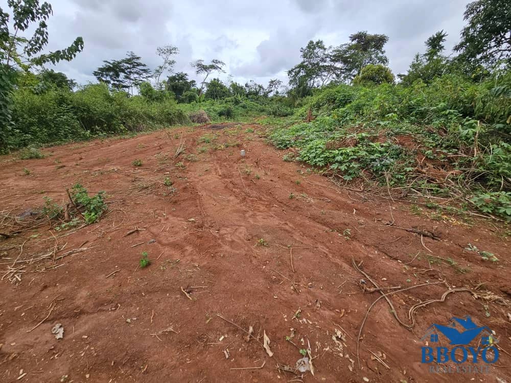 Accessible plot area at Nkomtou Yaounde 1000m2 — photo 2