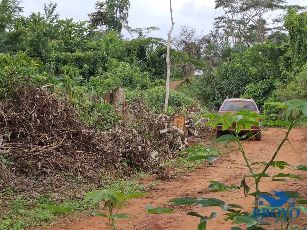 Accessible plot area at Nkomtou Yaounde 1000m2 — main photo