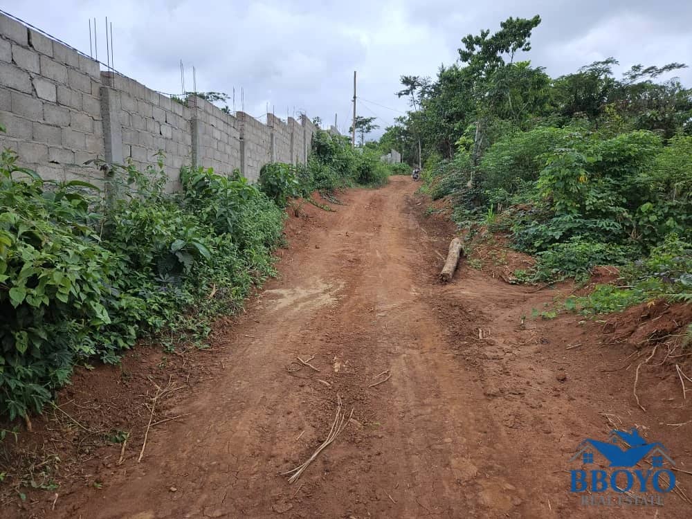 Residencial land — photo 2