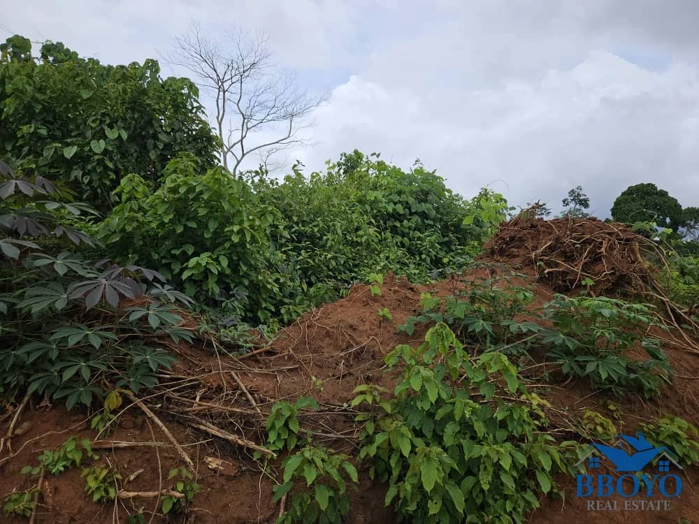 Residencial land — photo 3