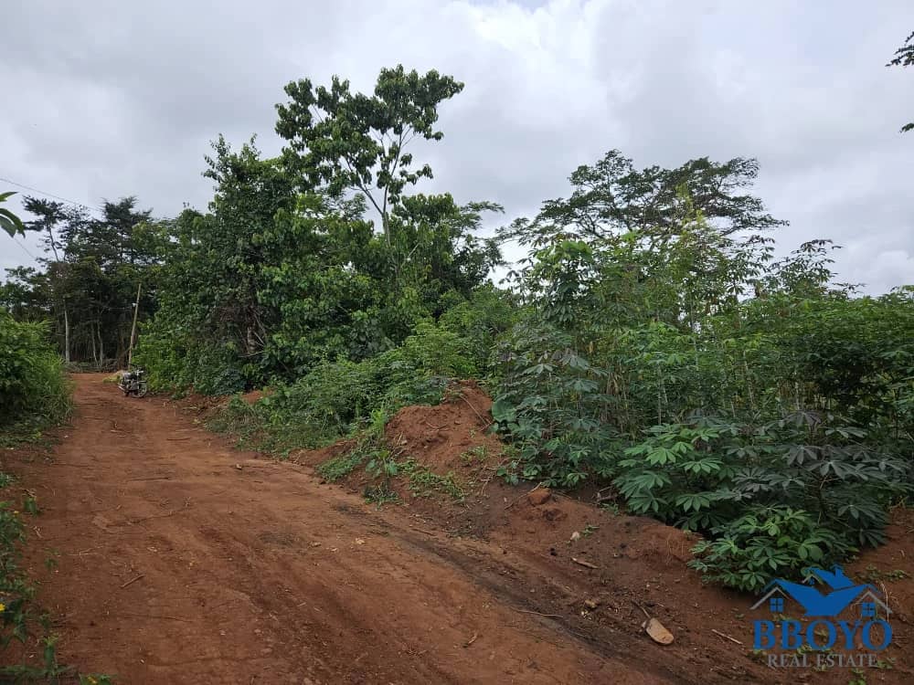 Residencial land — photo 5
