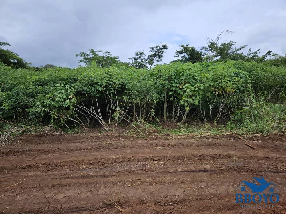 1000m2 prime land available in Nkomtou Yaoundé — main photo