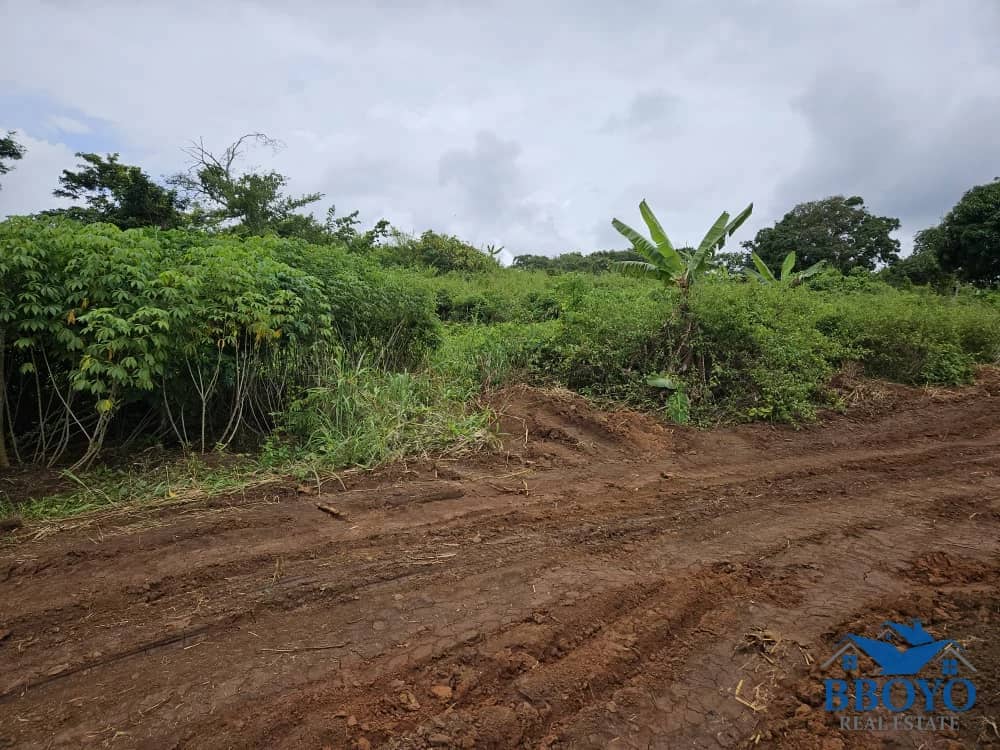 1000m2 prime land available in Nkomtou Yaoundé — photo 3