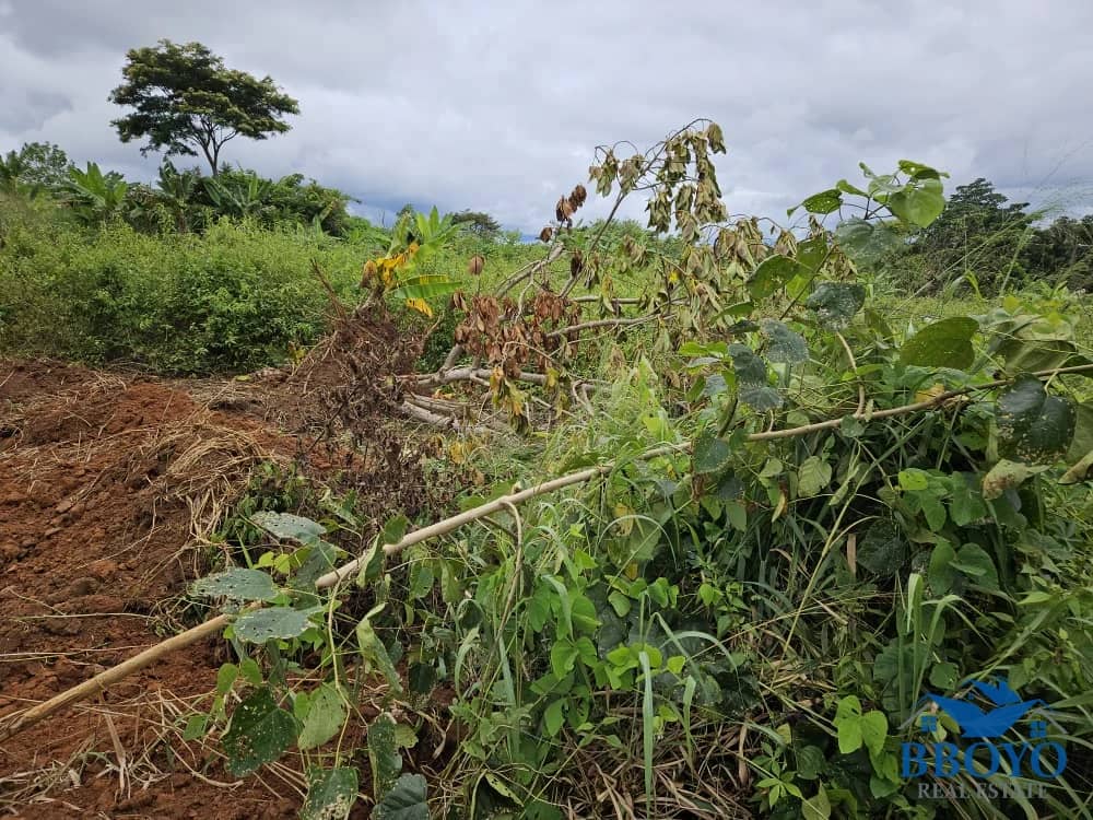 1000m2 prime land available in Nkomtou Yaoundé — photo 2