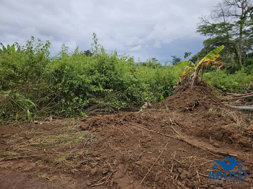1000m2 prime land available in Nkomtou Yaoundé — photo 6