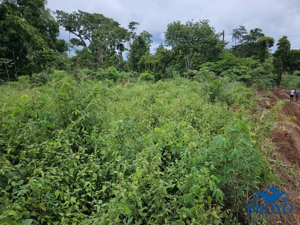 1000m2 prime land available in Nkomtou Yaoundé — photo 7
