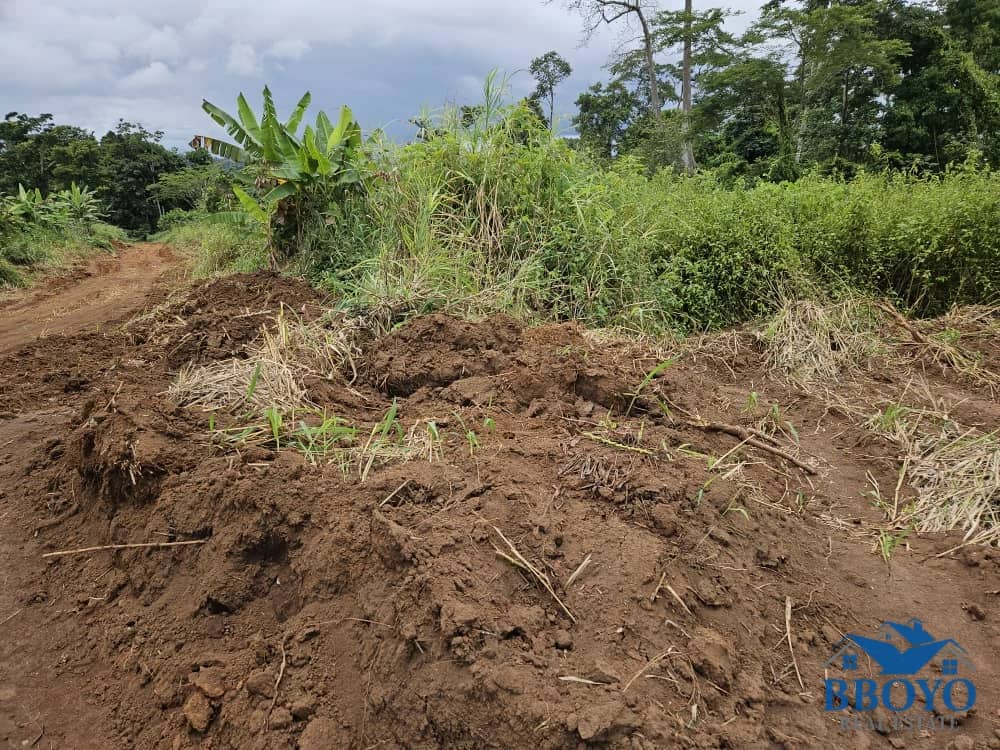 1000m2 prime land available in Nkomtou Yaoundé — photo 4