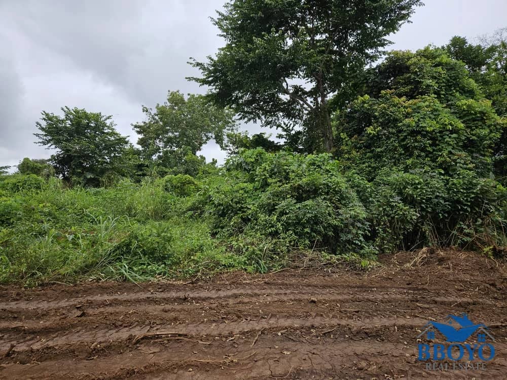 500m2 plot area standing — photo 6