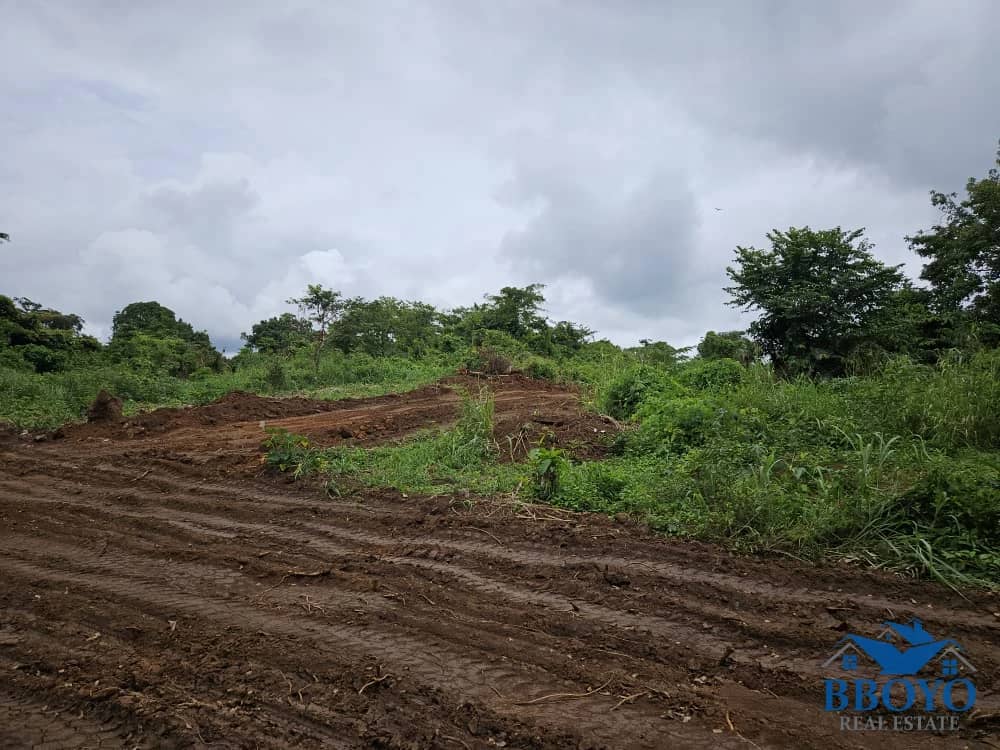 500m2 plot area standing — photo 7