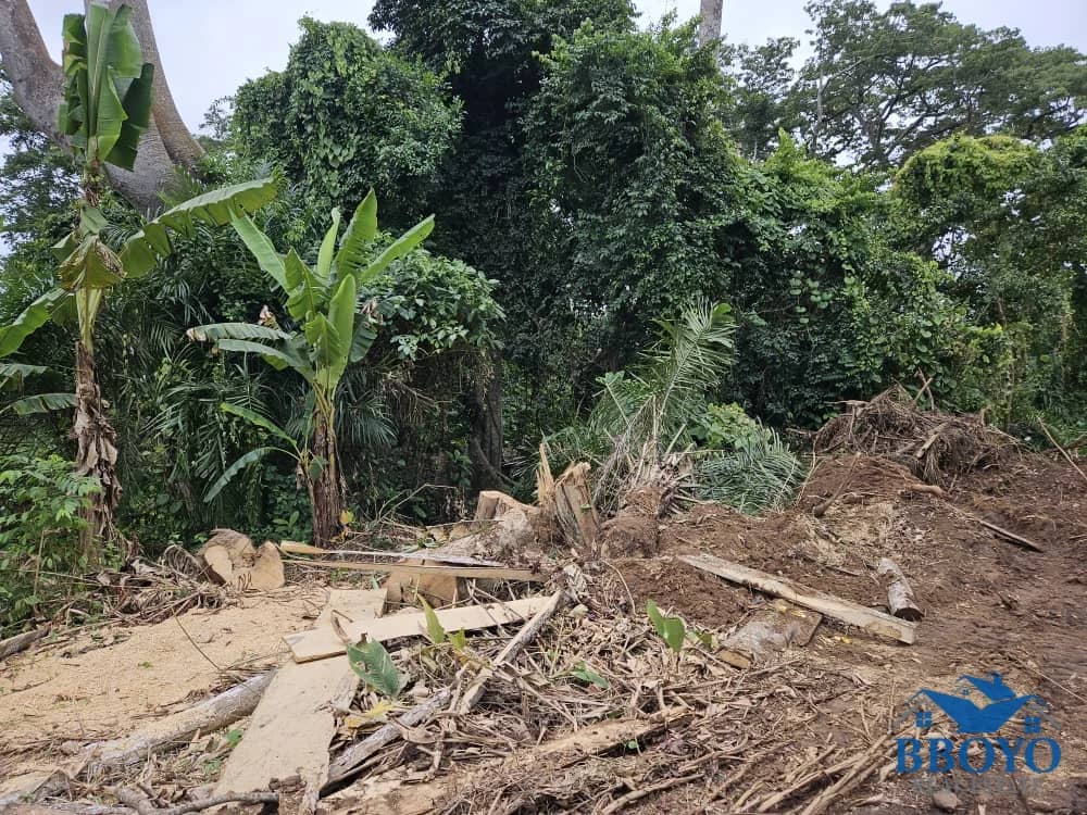 10000m2 plot available — photo 4
