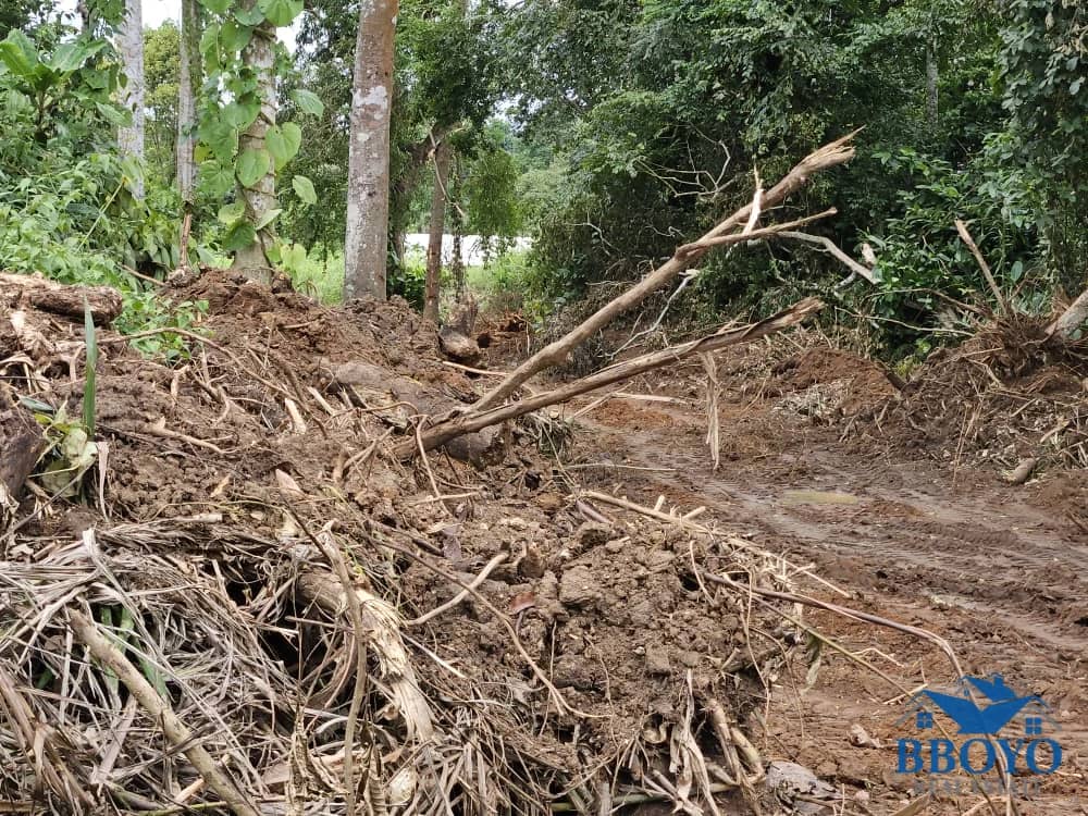 10000m2 plot available — main photo