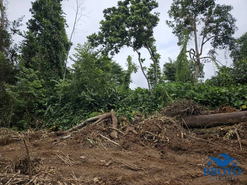 10000m2 plot available — photo 6