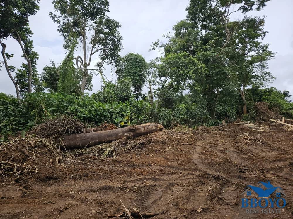 10000m2 plot available — photo 7