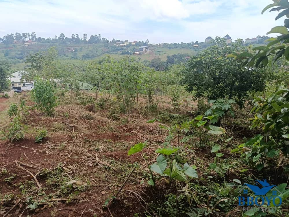 Pa Chengwa's Land — photo 7